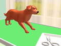 Jeu Pet Care
