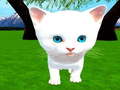 Jeu Cutie cat