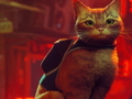 Jeu Stray