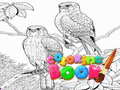 Jeu Coloring Book for Adults