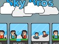 Jeu Sky Bros