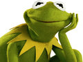 Jeu Coloring Book For Kermit the Frog 
