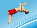 Jeu Flip Divers