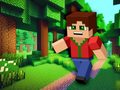 Jeu Minicraft