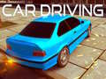 Jeu Car Driving