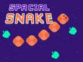 Jeu Spacial Snake