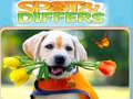 Jeu Spot&Differs