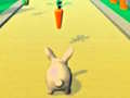Jeu Rabbit Runner