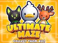Jeu Ultimate Maze! Collect Them All!