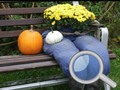 Jeu Autumn Garden Find 100 butterflies