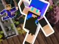 Jeu Only Up Craft