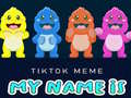 Jeu TikTok Meme My Name Is