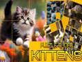 Jeu Puzzle Sliding Kittens