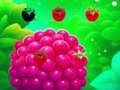 Jeu Sweet Raspberry