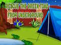 Jeu Rescue The Green Toad From Underground