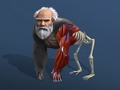 Jeu Idle Evolution From Cell To Human