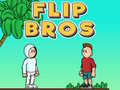 Jeu Flip Bros