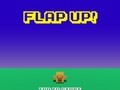 Jeu Flap Up