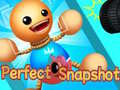 Jeu Perfect Snapshot