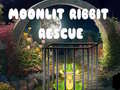 Jeu Moonlit Ribbit Rescue