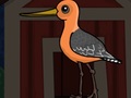 Jeu Cute Godwit Escape