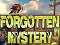 Jeu Forgotten Mystery