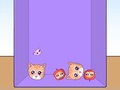 Jeu Evolution of Cat Memes