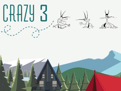 Jeu Crazy 3