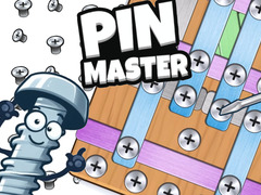 Jeu Pin Master
