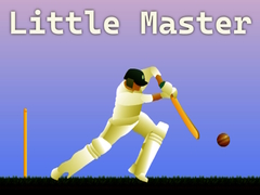 Jeu Little Master