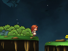 Jeu Adventure Of Zenny