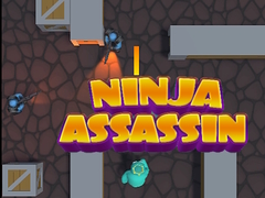 Jeu Ninja Assassin