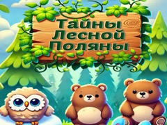 Jeu Forest Glade Mysteries