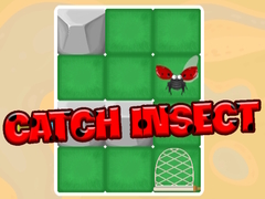 Jeu Catch Insect