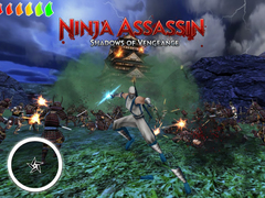 Jeu Ninja Assassin 