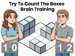 Jeu Try To Count The Boxes Brain Training