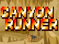 Jeu Canyon Runner