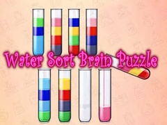 Jeu Water Sort Brain Puzzle