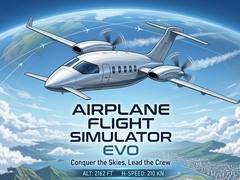 Jeu Airplane Flight Simulator EVO