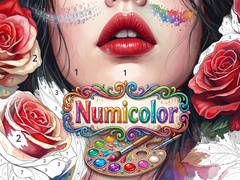 Jeu Numicolor