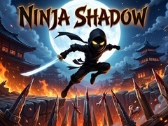 Jeu Ninja Shadow