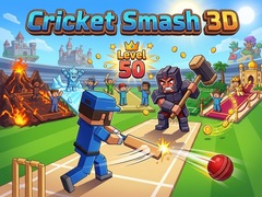 Jeu Cricket Smash 3D