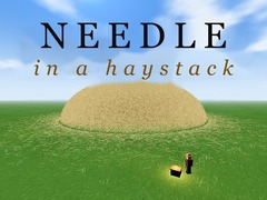 Jeu Needle in a Haystack