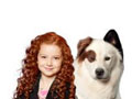 Dog dot com games 
