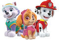 PAW Patrol jeux 