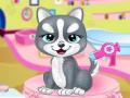 Jeux animaux