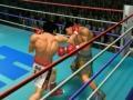 Jeux de boxe