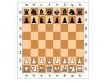 Échecs en ligne