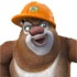 Jeux de Bears neighbors 