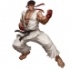 Jeux Street Fighter 